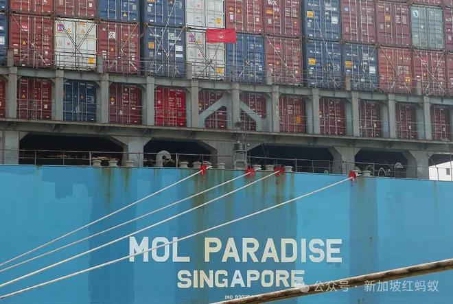 半岛综合体育悬挂新加坡旗帜就是新加坡的船只吗？撞桥事件接下来如何善后(图2)